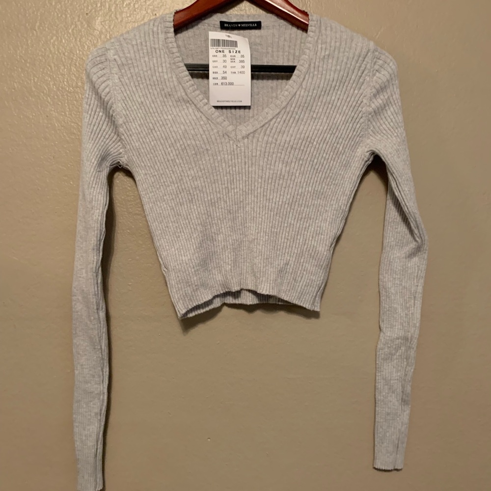 NWT Brandy Melville cropped grey ribbed longsleeve